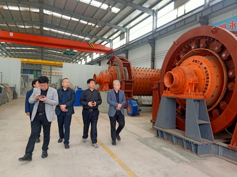 市領(lǐng)導來公司考察高低壓電機和永磁直驅(qū)球磨機